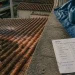 Exemple devis démoussage toiture, artisan brosse mousse sur tuiles