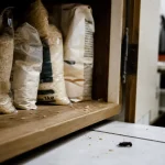 petit bete noire maison sur carrelage de cuisine